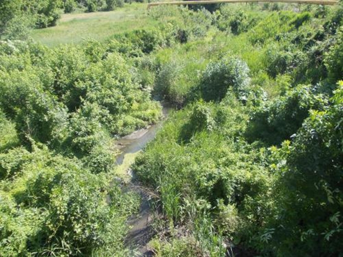Русло речки Атюхты в Шахтах расчистят на протяжении пяти километров