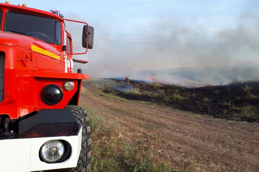 В Ростовской области установлен особый противопожарный режим